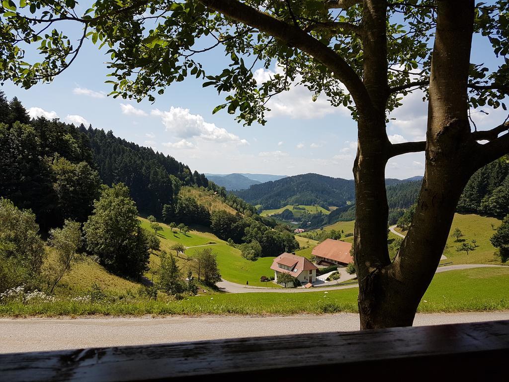 Hotel 3 Koenige Oberwolfach Extérieur photo